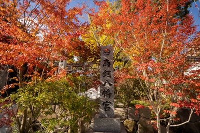 1270_鳥飼八幡宮_福岡