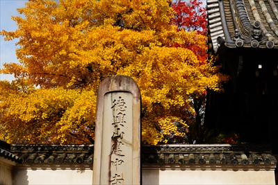 1094_名古屋市建中寺公園_愛知