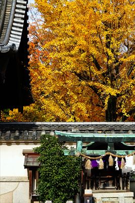 1095_名古屋市建中寺公園_愛知