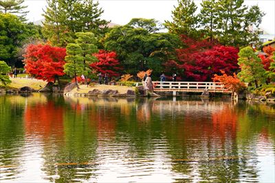 1096_名古屋市徳川園_愛知