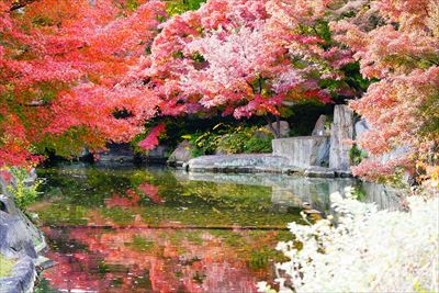 名古屋市徳川園_愛知