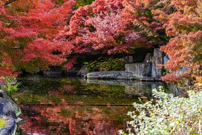 名古屋市徳川園_愛知