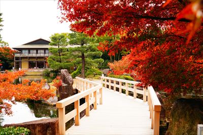 1098_名古屋市徳川園_愛知