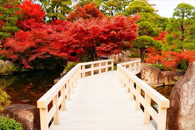 1101_名古屋市徳川園_愛知