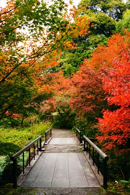 1106_名古屋市徳川園_愛知