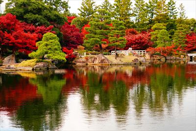 1107_名古屋市徳川園_愛知