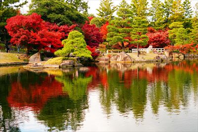 1108_名古屋市徳川園_愛知