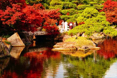 1110_名古屋市徳川園_愛知