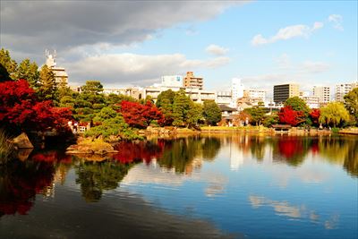 1111_名古屋市徳川園_愛知