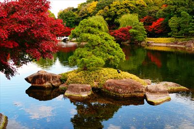 1114_名古屋市徳川園_愛知