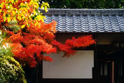 1116_名古屋市徳源寺_愛知