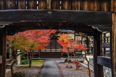 1117_名古屋市徳源寺_愛知