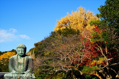 1091_鎌倉大仏_神奈川