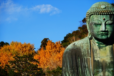 1092_鎌倉大仏_神奈川