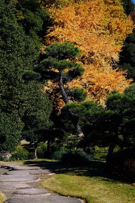 1064_江東区清澄庭園_東京