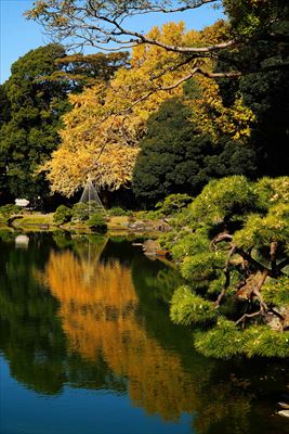 1065_江東区清澄庭園_東京