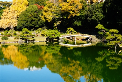 1067_江東区清澄庭園_東京