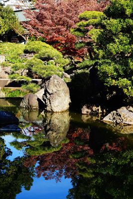 1068_江東区清澄庭園_東京