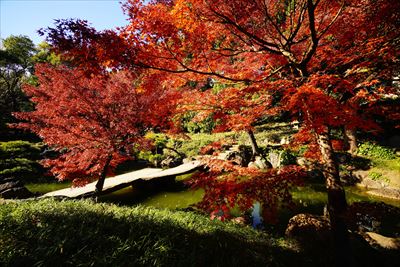 1069_江東区清澄庭園_東京