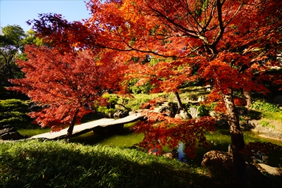 1069_江東区清澄庭園_東京