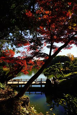 1070_江東区清澄庭園_東京