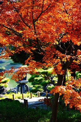 1071_江東区清澄庭園_東京