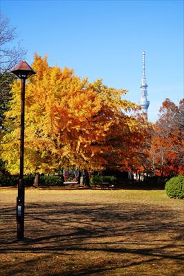 1079_江東区猿江恩賜公園_東京