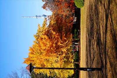 1079_江東区猿江恩賜公園_東京