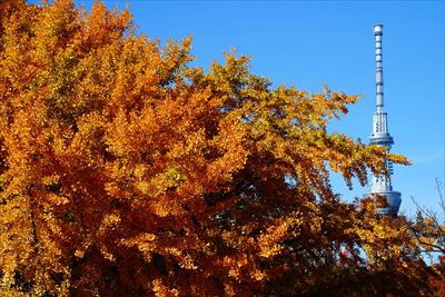 1080_江東区猿江恩賜公園_東京