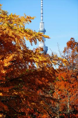 1081_江東区猿江恩賜公園_東京