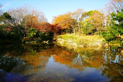 1082_江東区猿江恩賜公園_東京