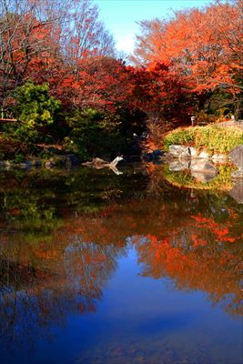 1084_江東区猿江恩賜公園_東京