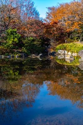 1084_江東区猿江恩賜公園_東京