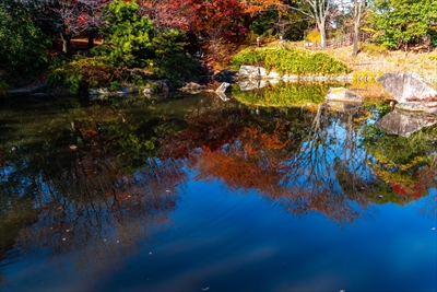 江東区猿江恩賜公園_東京