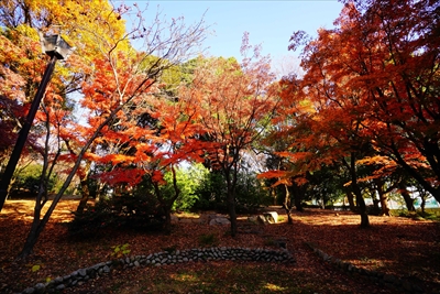 1086_江東区猿江恩賜公園_東京