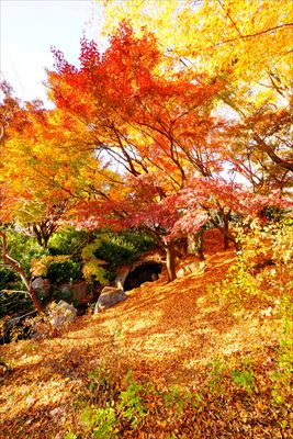 1087_江東区猿江恩賜公園_東京