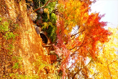 1087_江東区猿江恩賜公園_東京