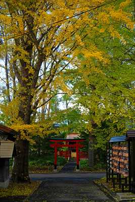 1055_函館亀田八幡宮_北海道