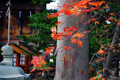 1057_函館亀田八幡宮_北海道
