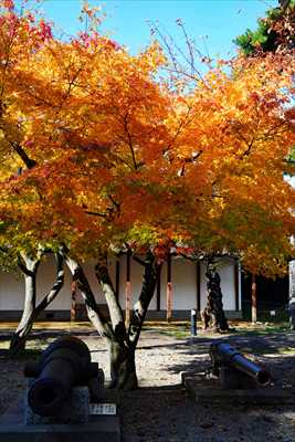 1016_函館五稜郭公園_北海道