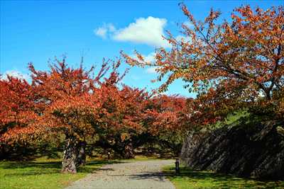 1020_函館五稜郭公園_北海道