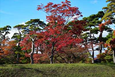 1024_函館五稜郭公園_北海道