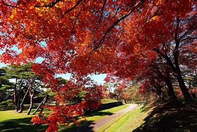 函館五稜郭公園_北海道