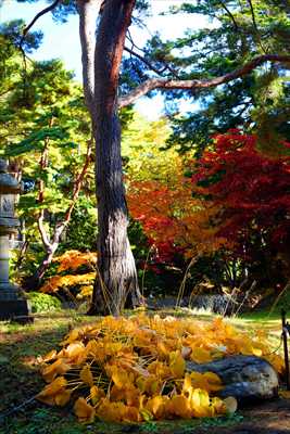 1032_函館見晴公園_北海道