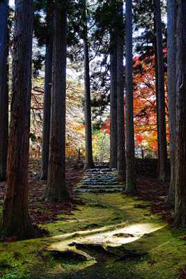 1036_函館見晴公園_北海道