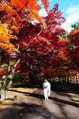 1039_函館見晴公園_北海道