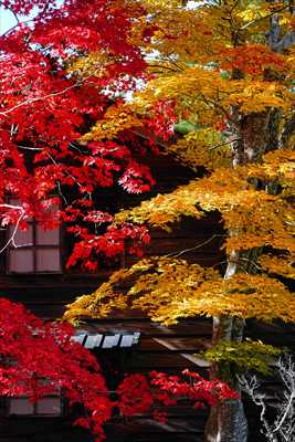 1041_函館見晴公園_北海道