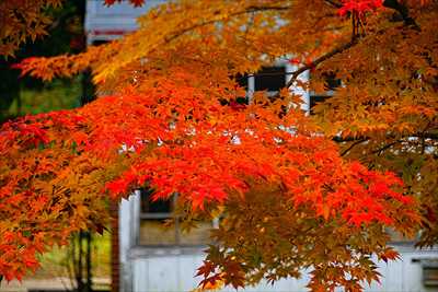 1042_函館見晴公園_北海道