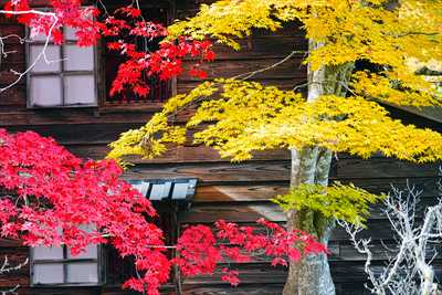 1045_函館見晴公園_北海道