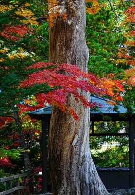 1047_函館見晴公園_北海道
